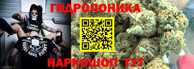 стаф Краснокаменск