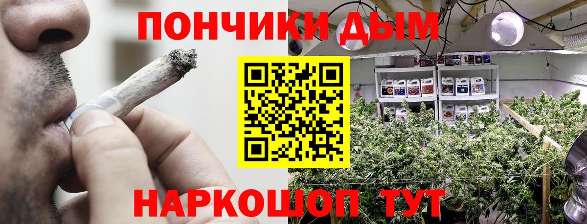 Конопля LSD WEED  Бошки марихуана конопля  МАРИХУАНА SATIVA & INDICA  Вход с VPN  Чебоксары 
